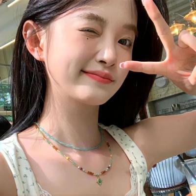夏绿蒂的网